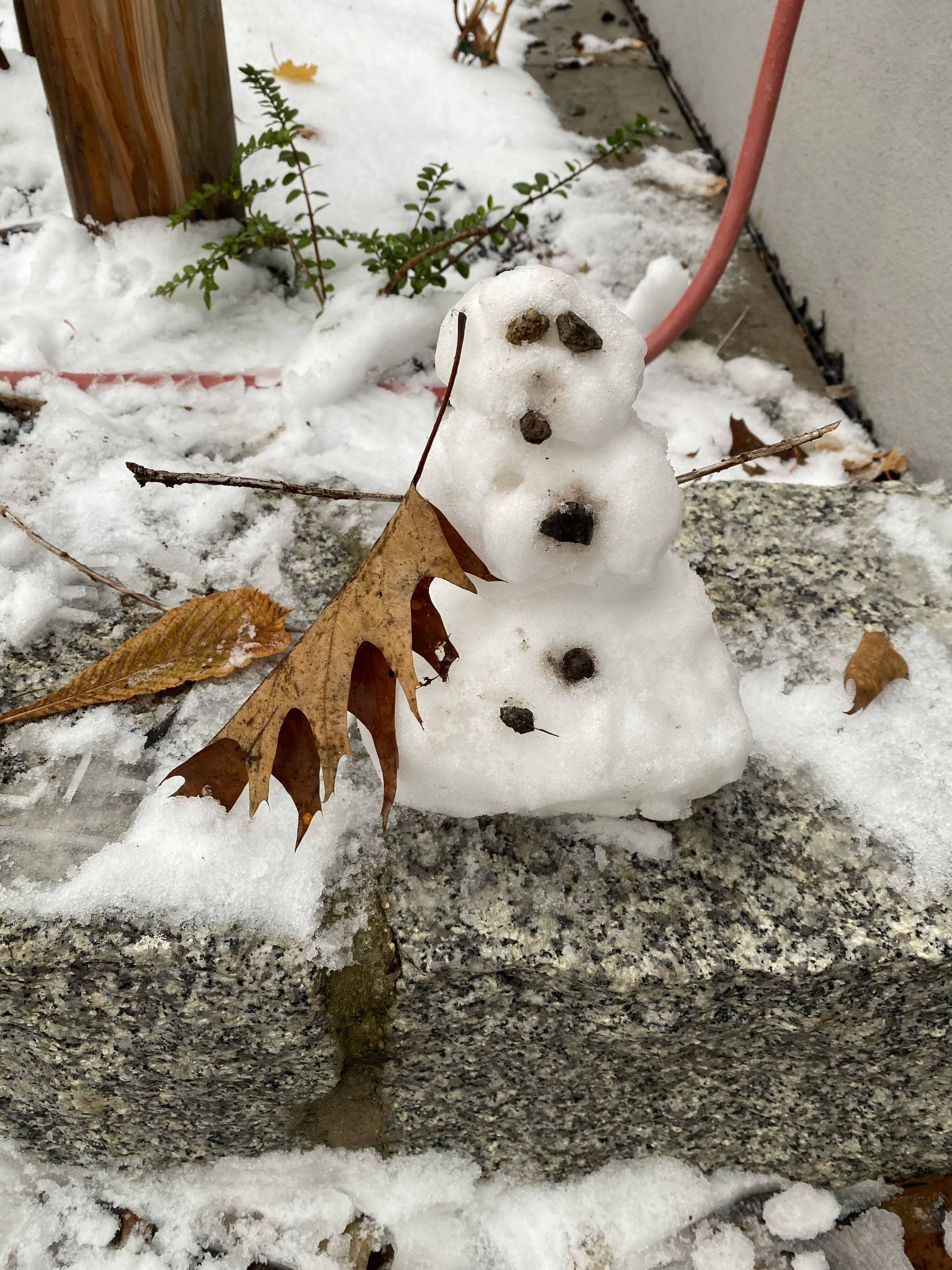 „Juhu, der erste Schnee ist da!“