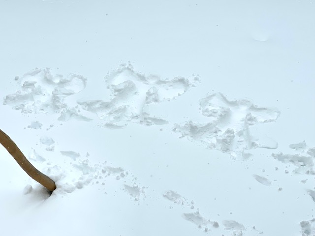 Kein Präsenzunterricht am 28.1.26